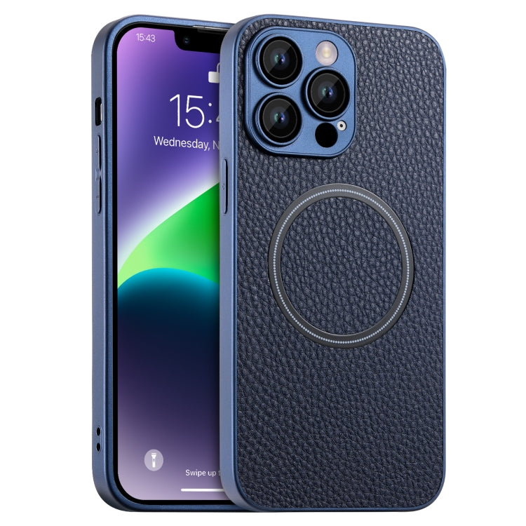 Skin Feel Litchi Texture MagSafe Magnetic Phone Case, For iPhone 11 Pro Max