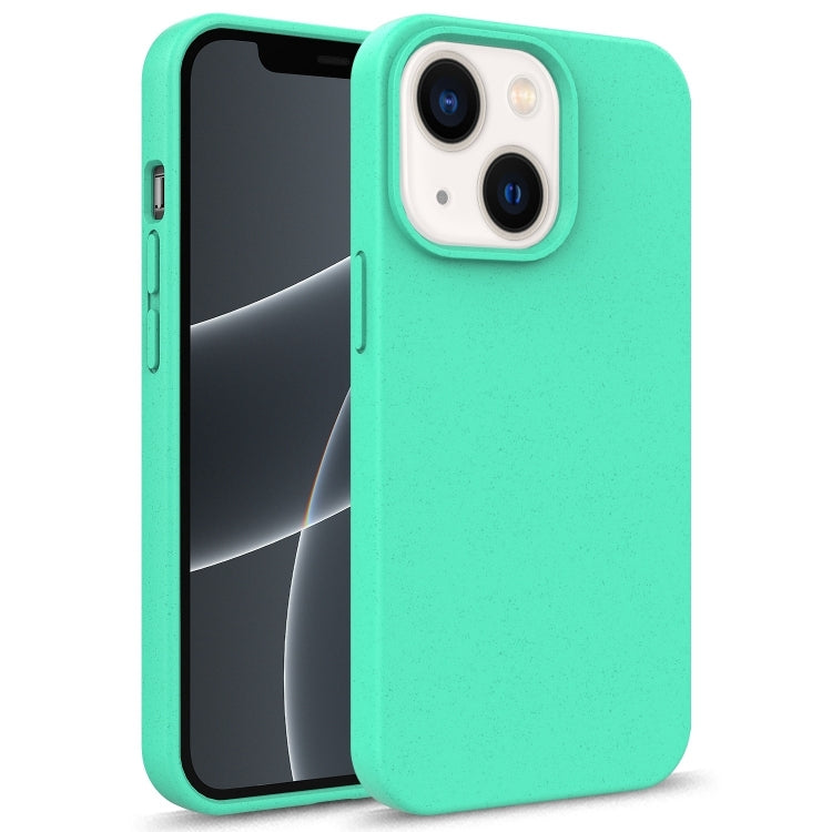 Starry Series Shockproof Straw Material + TPU Protective Case, For iPhone 15 Plus, For iPhone 15