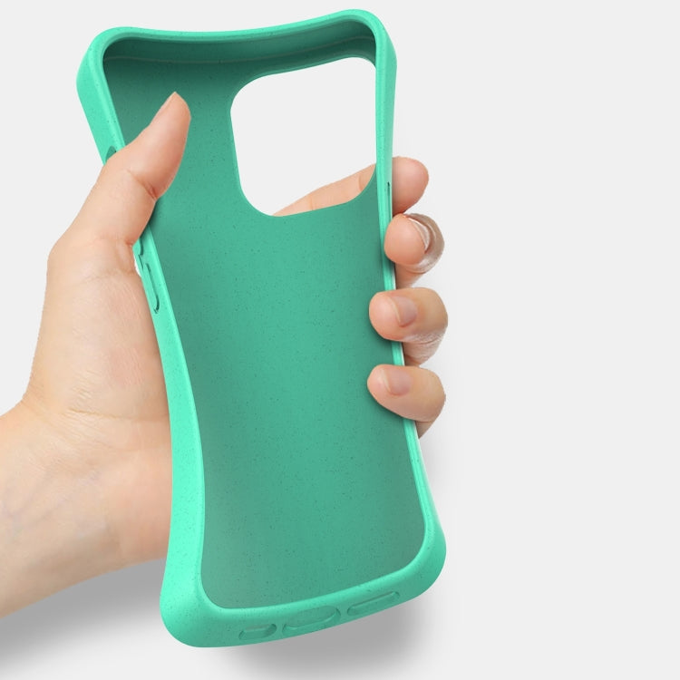 Starry Series Shockproof Straw Material + TPU Protective Case, For iPhone 15 Plus, For iPhone 15