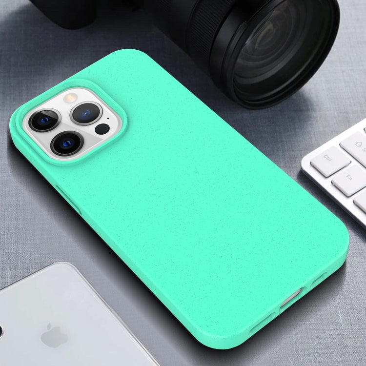 Starry Series Shockproof Straw Material + TPU Protective Case, For iPhone 15 Plus, For iPhone 15