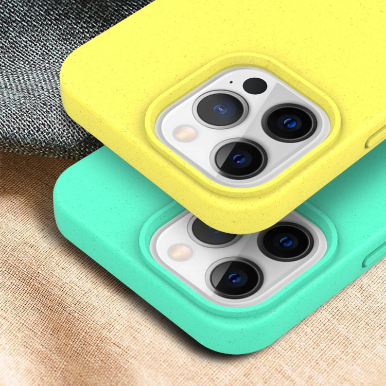 Starry Series Shockproof Straw Material + TPU Protective Case, For iPhone 15 Plus, For iPhone 15