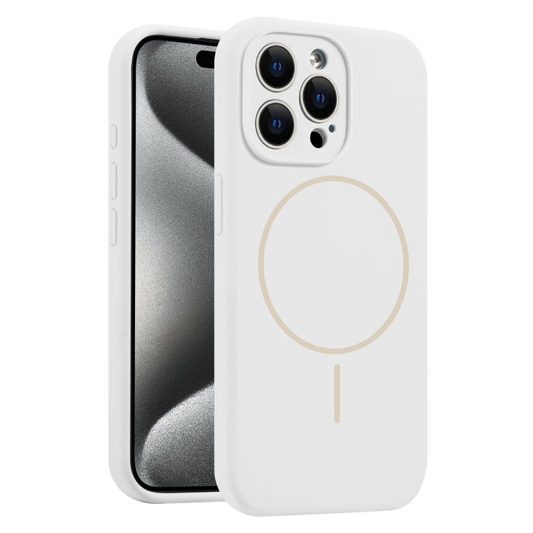 Fine Hole Liquid Silicone MagSafe Phone Case, For iPhone 15 Pro Max, For iPhone 15 Pro, For iPhone 15 Plus