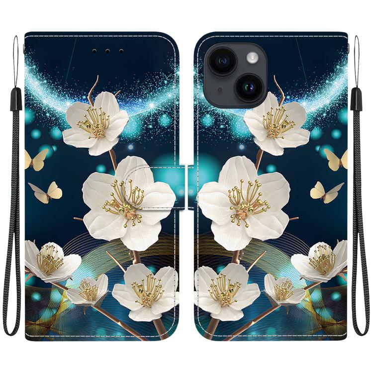 Crystal Texture Colored Drawing Leather Phone Case