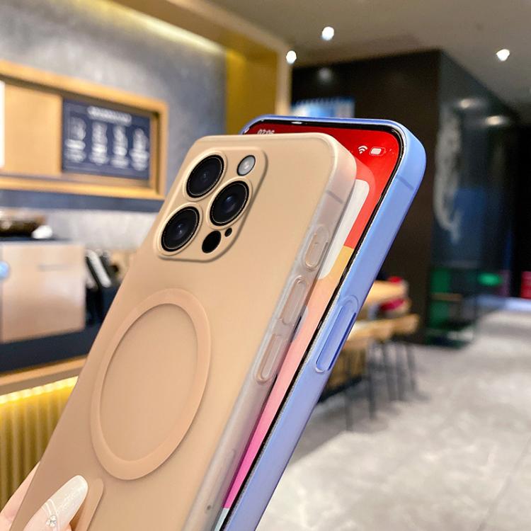 Fine Hole Ice Fog MagSafe PC Phone Case, For iPhone 16 Pro Max, For iPhone 16 Pro, For iPhone 16 Plus