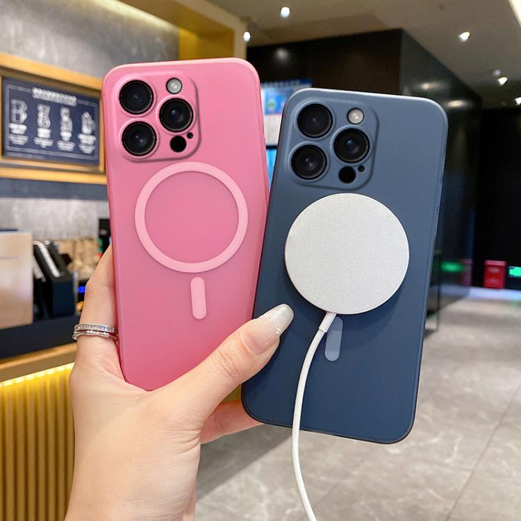 Fine Hole Ice Fog MagSafe PC Phone Case, For iPhone 16 Pro Max, For iPhone 16 Pro, For iPhone 16 Plus