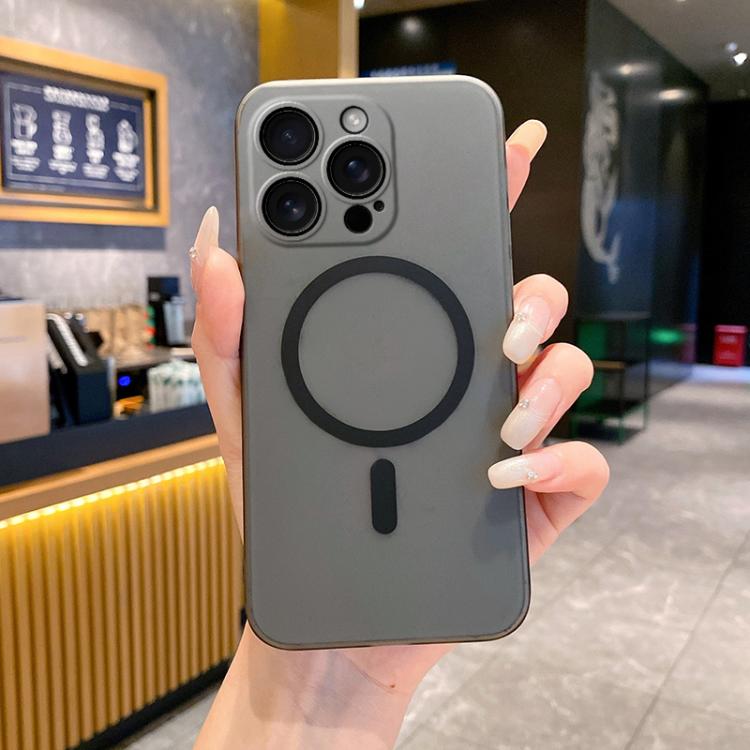 Fine Hole Ice Fog MagSafe PC Phone Case, For iPhone 16 Pro Max, For iPhone 16 Pro, For iPhone 16 Plus