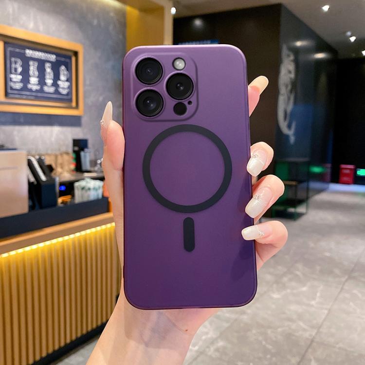 Fine Hole Ice Fog MagSafe PC Phone Case, For iPhone 16, For iPhone 15 Pro Max, For iPhone 15 Pro