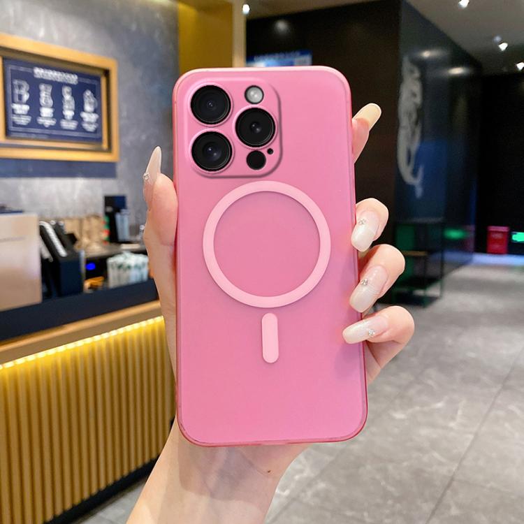 Fine Hole Ice Fog MagSafe PC Phone Case, For iPhone 16, For iPhone 15 Pro Max, For iPhone 15 Pro