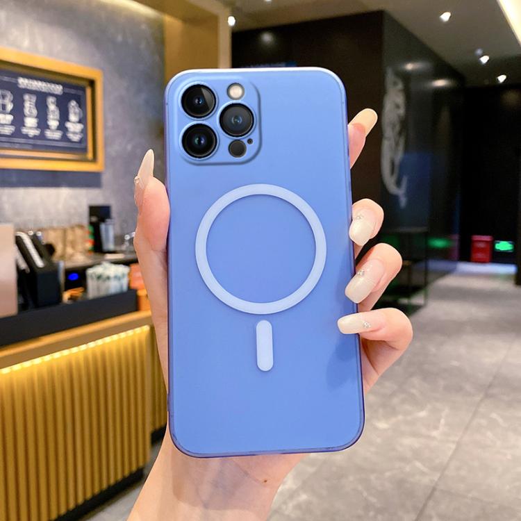 Fine Hole Ice Fog MagSafe PC Phone Case, For iPhone 13 Pro Max, For iPhone 13 Pro, For iPhone 13