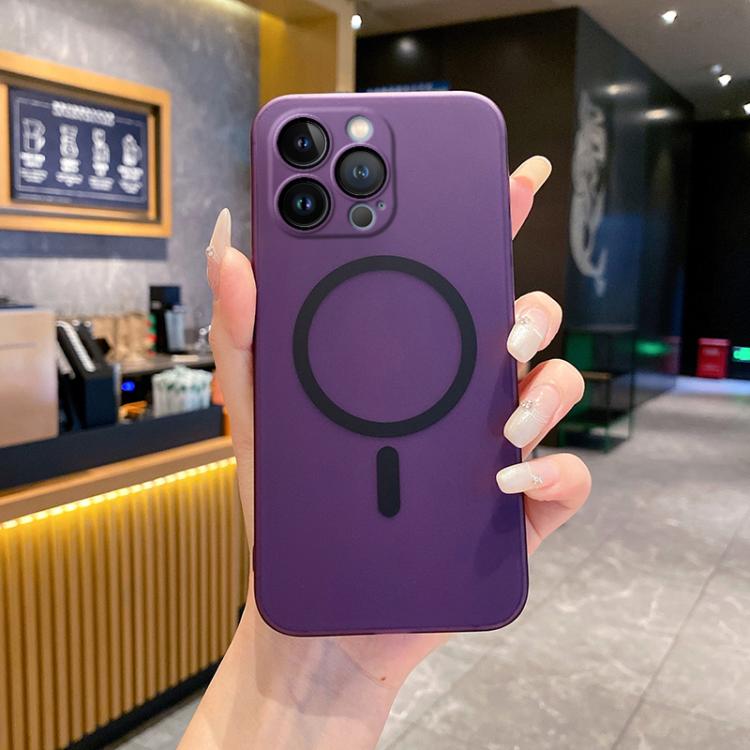 Fine Hole Ice Fog MagSafe PC Phone Case, For iPhone 13 Pro Max, For iPhone 13 Pro, For iPhone 13