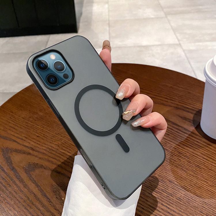 Ice Fog MagSafe PC Phone Case, For iPhone 12 Pro Max, For iPhone 11 Pro Max, For iPhone 11