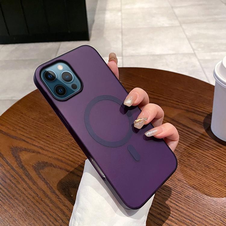 Ice Fog MagSafe PC Phone Case, For iPhone 12 Pro Max, For iPhone 11 Pro Max, For iPhone 11