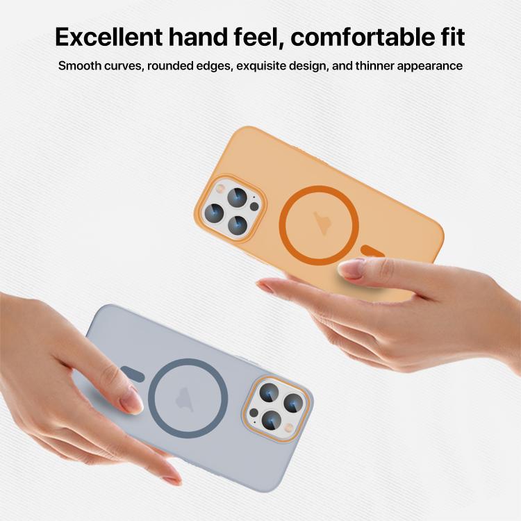 Translucent Frosted Skin PC MagSafe Phone Case, For iPhone 11, For iPhone 11 Pro