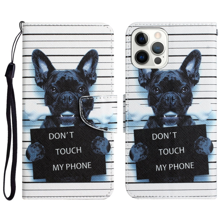 Colored Drawing Leather Phone Case, For iPhone 11 Pro Max