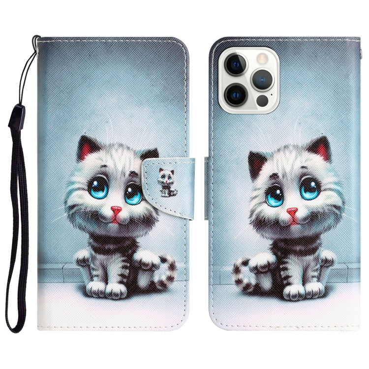 Colored Drawing Leather Phone Case, For iPhone 11 Pro Max