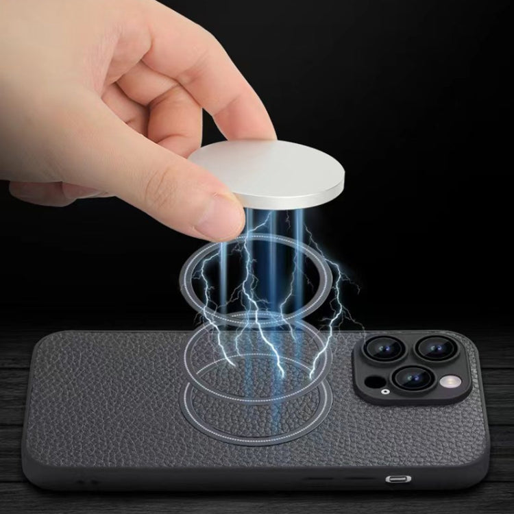 Skin Feel Litchi Texture MagSafe Magnetic Phone Case, For iPhone 11 Pro Max