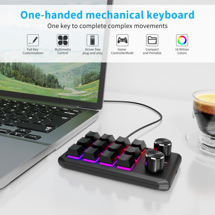 12KV2 MOLD Mini Mechanical 12 Keys 2 Knob Custom Programming Keyboard, USB Wired, Bluetooth Wireless