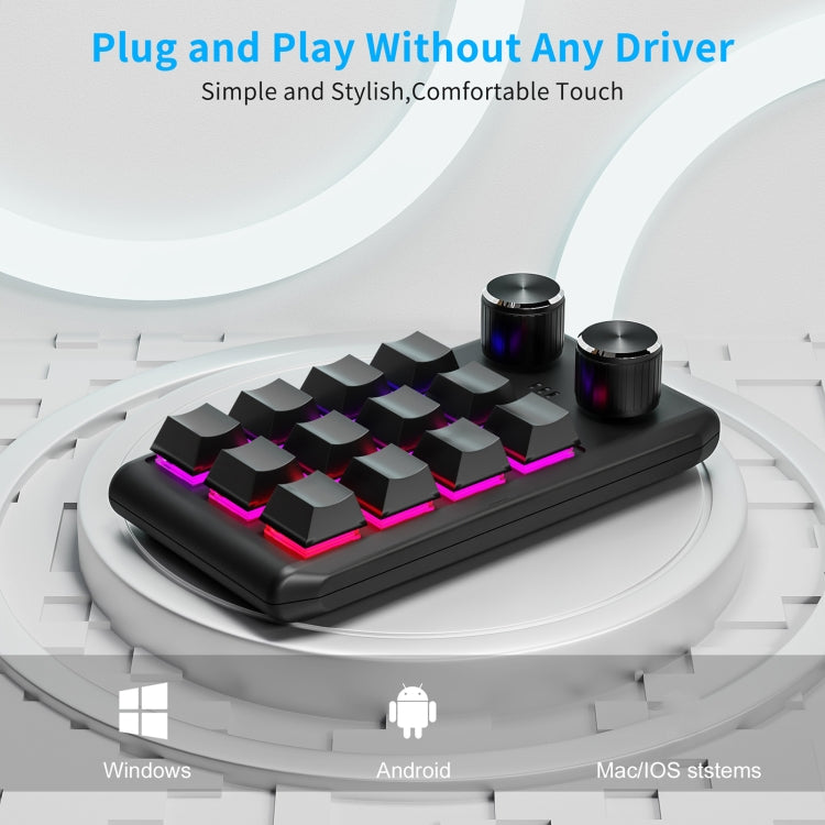 12KV2 MOLD Mini Mechanical 12 Keys 2 Knob Custom Programming Keyboard, USB Wired, Bluetooth Wireless