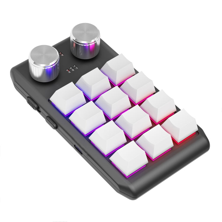 12KV2 MOLD Mini Mechanical 12 Keys 2 Knob Custom Programming Keyboard, USB Wired, Bluetooth Wireless