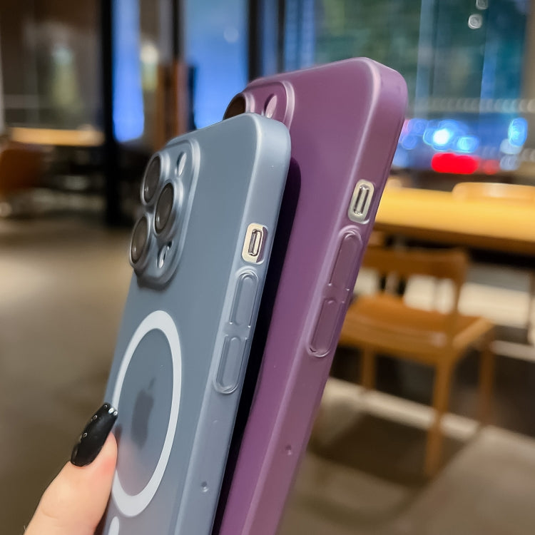 Ultra-thin MagSafe Frosted PC Phone Case, For iPhone 11 Pro