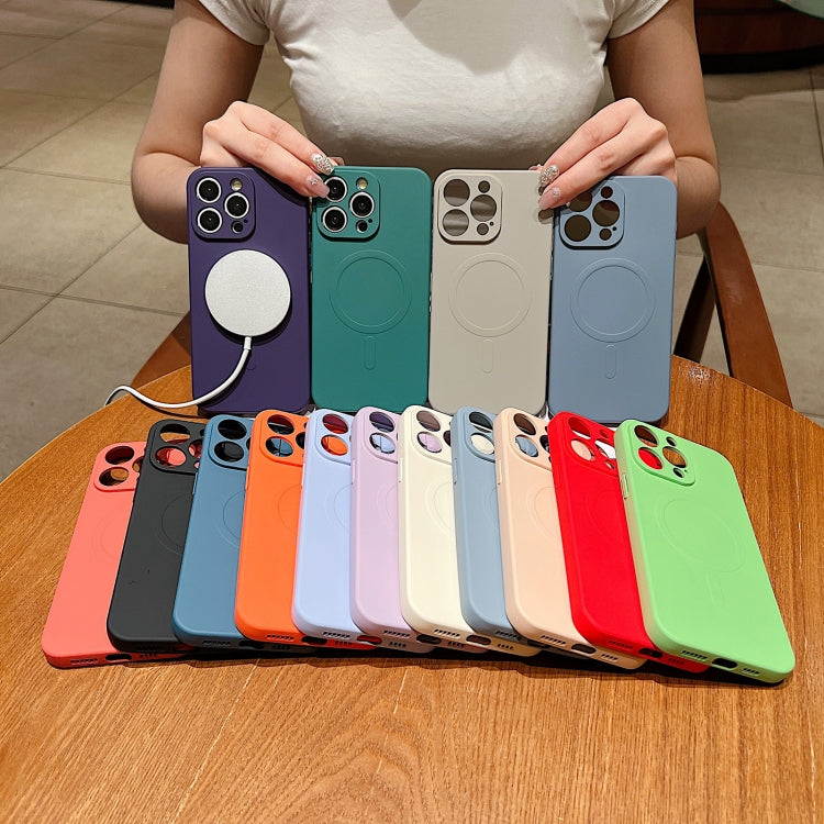 Solid Color Liquid Silicone MagSafe Magnetic Phone Case, For iPhone 11 Pro