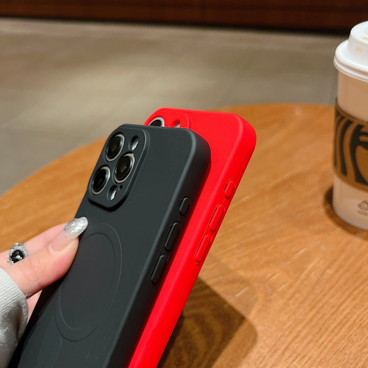 Solid Color Liquid Silicone MagSafe Magnetic Phone Case, For iPhone 13 Pro