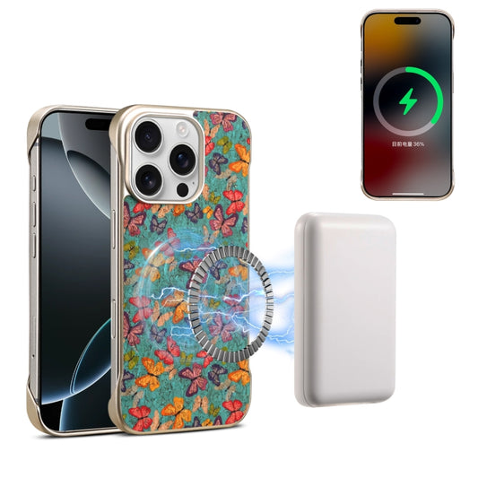 Denior A18 Paint MagSafe Phone Case, For iPhone 16 Pro Max, For iPhone 16 Pro, For iPhone 16 Plus, For iPhone 16, For iPhone 15 Pro Max, For iPhone 15 Pro, For iPhone 15 Plus / 14 Plus, For iPhone 15, For iPhone 14 Pro, For iPhone 14 Pro Max�����������...