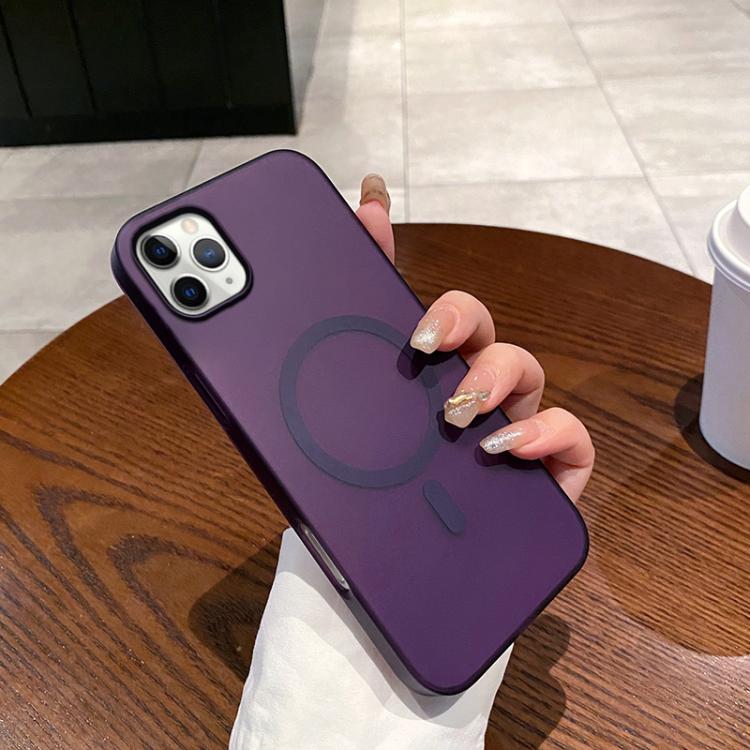Ice Fog MagSafe PC Phone Case, For iPhone 12 Pro Max, For iPhone 11 Pro Max, For iPhone 11