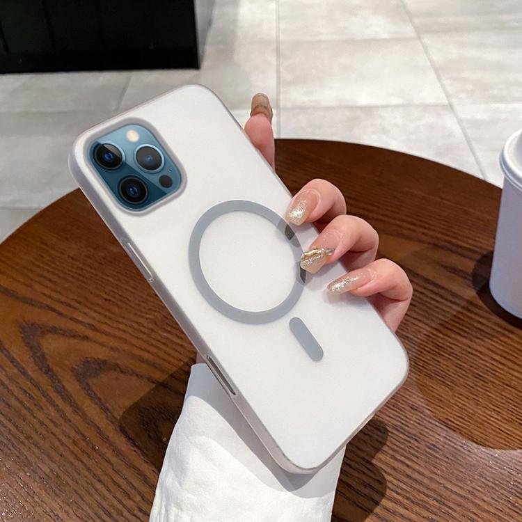 Ice Fog MagSafe PC Phone Case, For iPhone 12 Pro Max, For iPhone 11 Pro Max, For iPhone 11