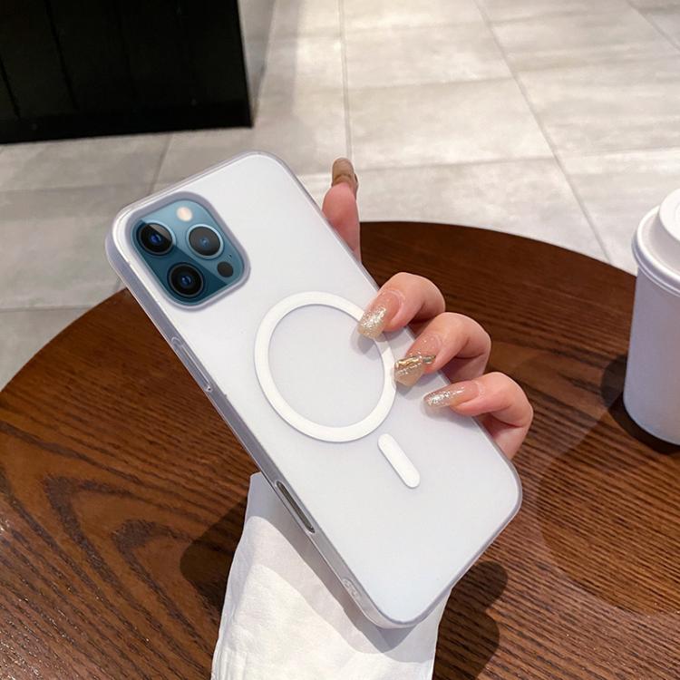 Ice Fog MagSafe PC Phone Case, For iPhone 12 Pro Max, For iPhone 11 Pro Max, For iPhone 11