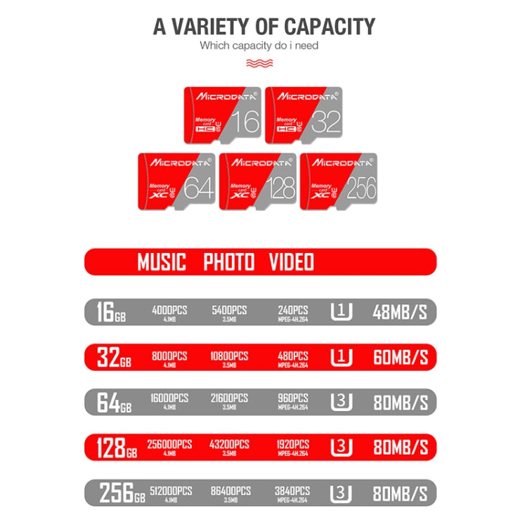 MICRODATA 256GB Class10 Red and Grey TF(Micro SD) Memory Card, 256GB