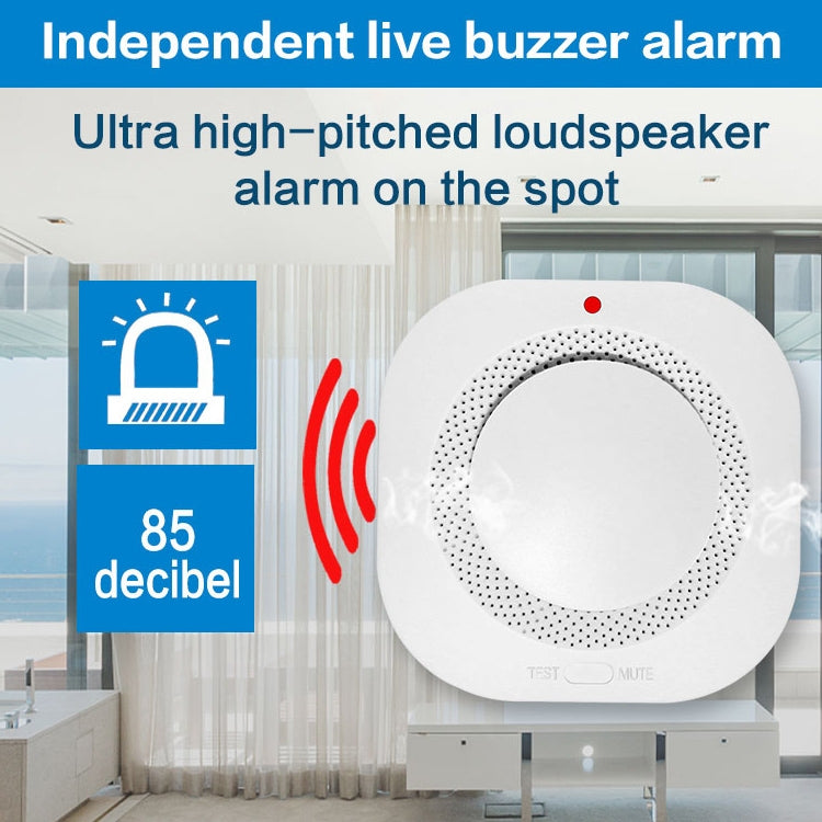 PA-441 Wireless Smart Smoke Alarm, PA-441