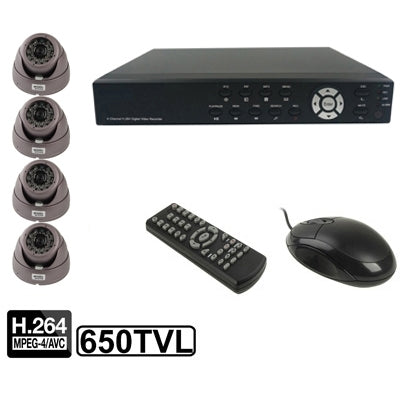 4-CH Embedded Digital Video Recorder Kit (1 / 3 Sony CCD, 650TVL, 24 x IR LED, 6mm Lens, IR Distance: 25m,  H.264 (8204EV+622A), 8204EV+622A, 1 / 3 Sony CCD, 650TVL