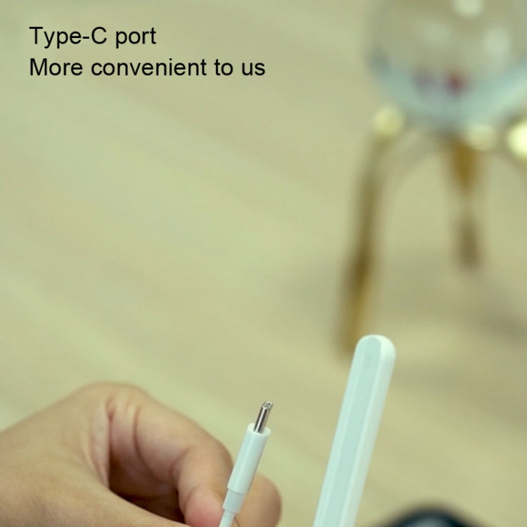 RX-01 Capacitive Pen Magnetic Charging Cable, For Apple Pencil 2