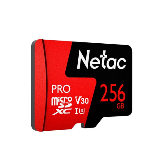 Netac P500 PRO 256GB U3 Speed Level Automobile Data Recorder Monitor Camera Memory Card TF Card, 256GB