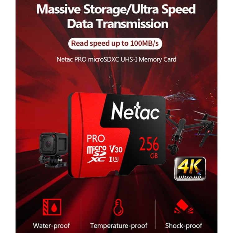 Netac P500 PRO 256GB U3 Speed Level Automobile Data Recorder Monitor Camera Memory Card TF Card, 256GB