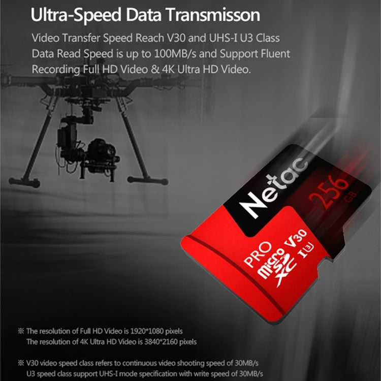 Netac P500 PRO 256GB U3 Speed Level Automobile Data Recorder Monitor Camera Memory Card TF Card, 256GB