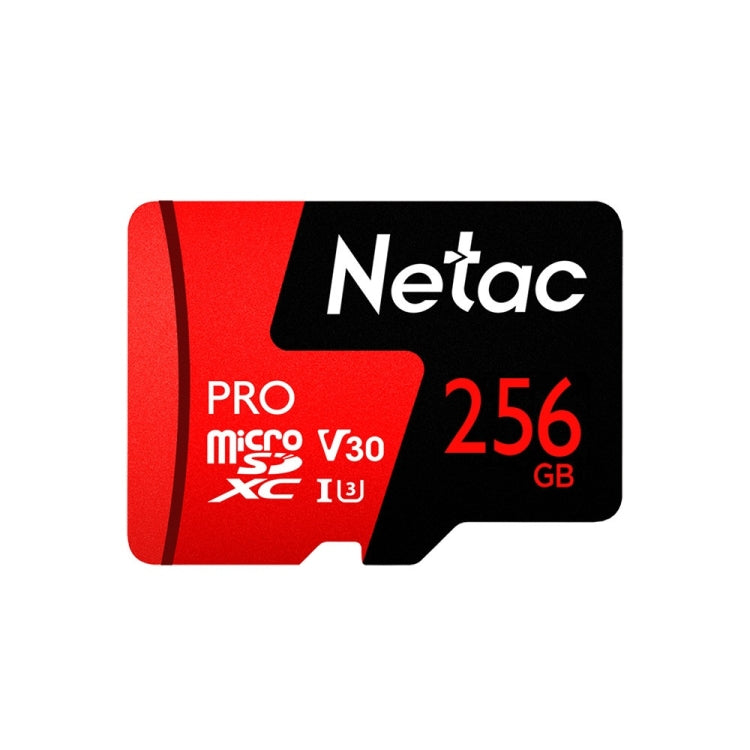 Netac P500 PRO 256GB U3 Speed Level Automobile Data Recorder Monitor Camera Memory Card TF Card, 256GB